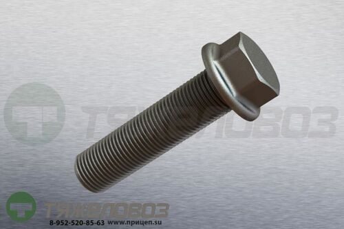 Болт установочный M 16 x 65 / SW 22 02.5070.95.00
